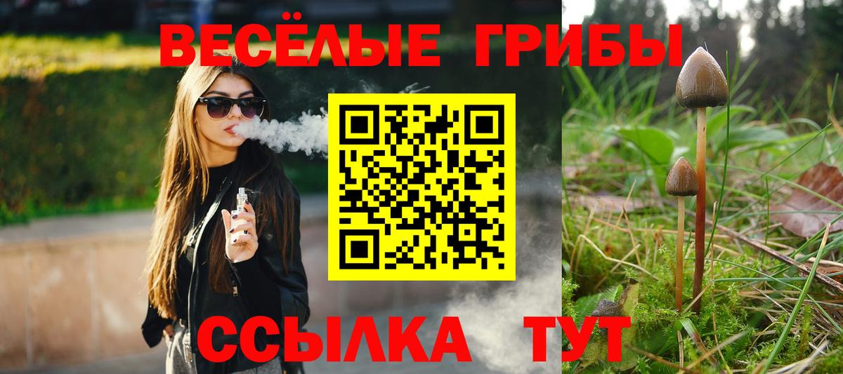Галлюциногенные грибы мицелий Волгодонск