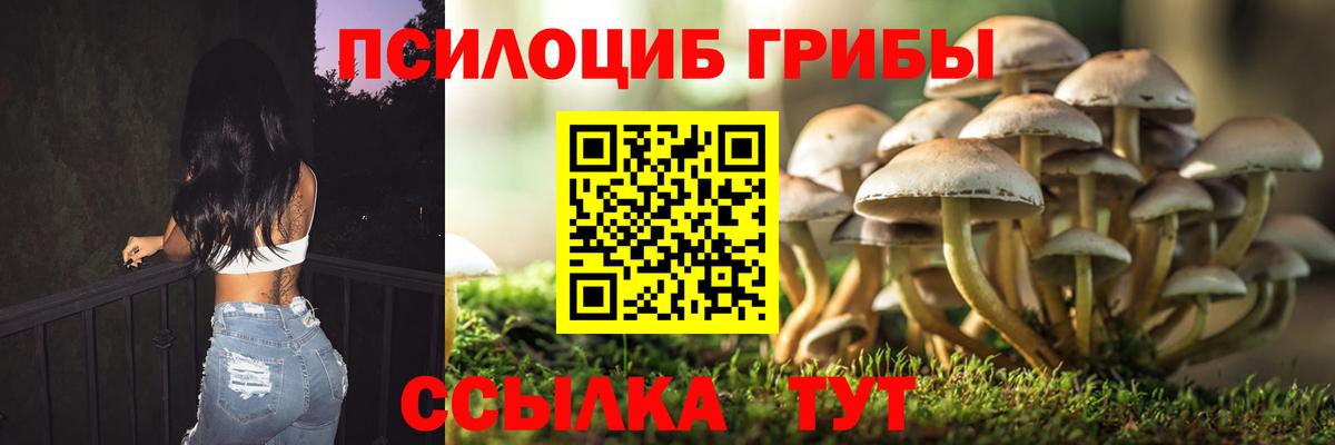 Псилоцибиновые грибы MAGIC MUSHROOMS  Вход с VPN  Волгодонск  Псилоцибиновые грибы ЛСД 